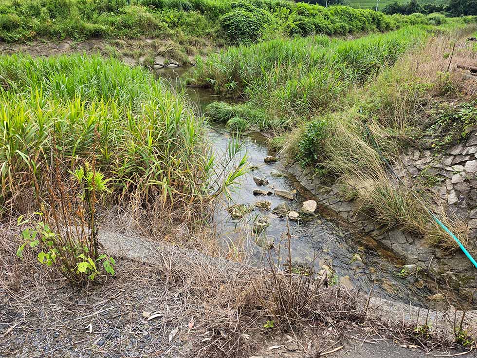 小野の湧泉からの水が合流し、川となる。