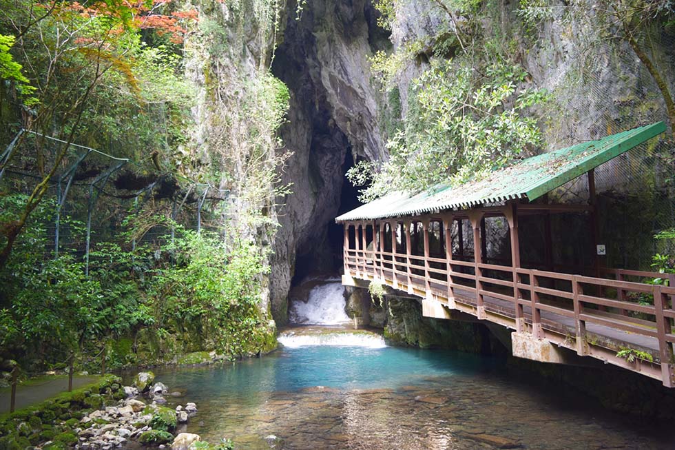 秋吉台の入り口付近の川の流れ
