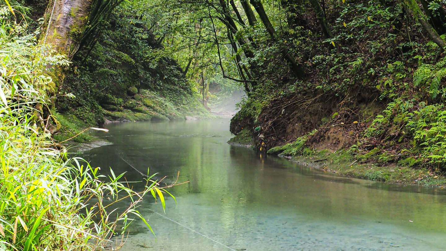 大出水の湧水の下流