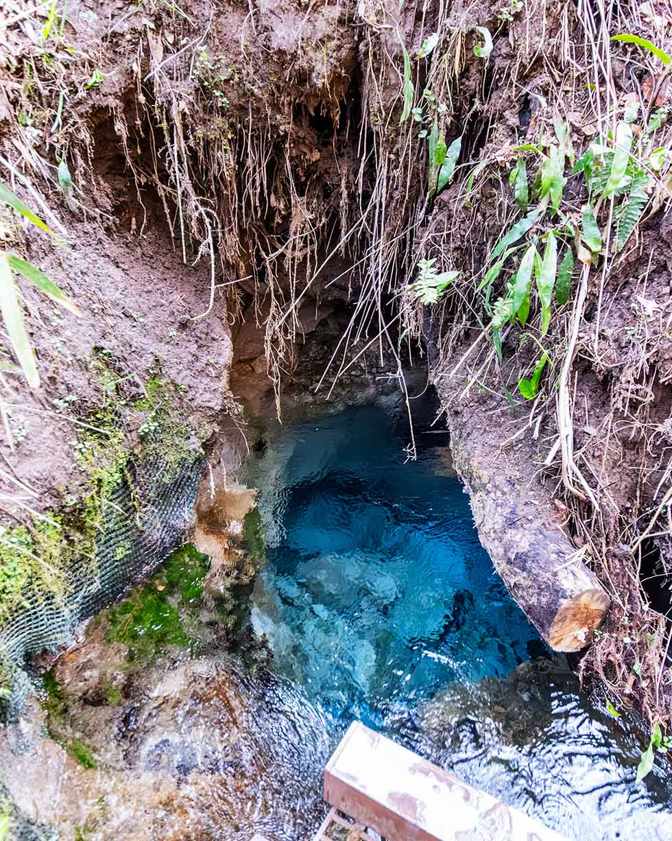  大出水の湧水の出水箇所