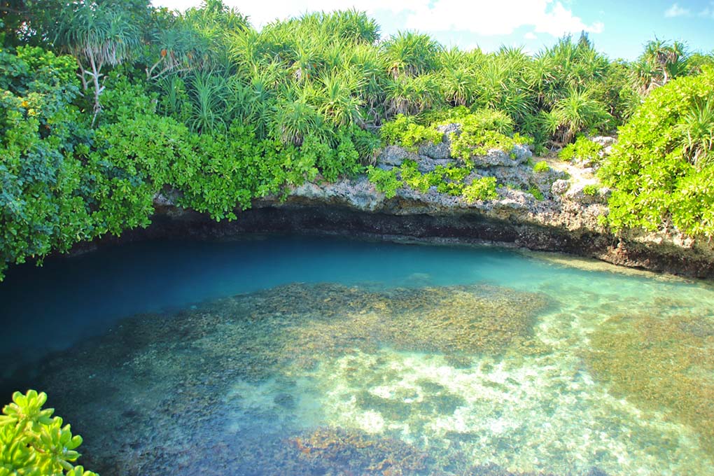 宮古島の陥没ドリーネ、ピキャズの水面付近