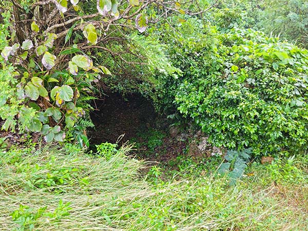 金志川泉の洞口