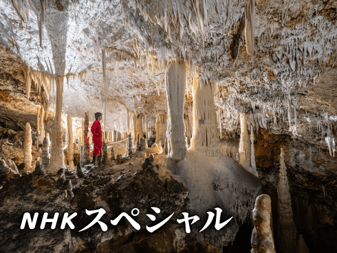 NHKスペシャル