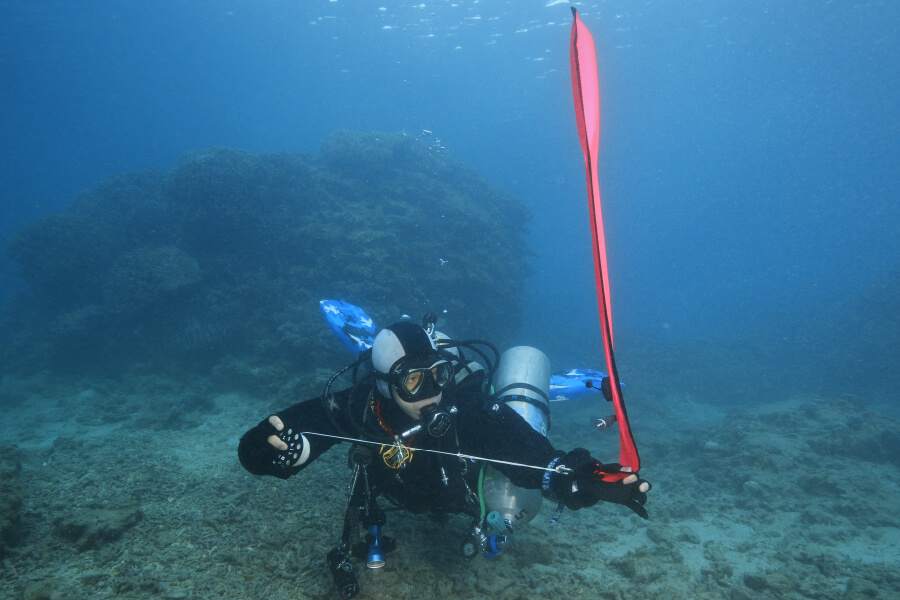 ゴリラチョップ 沖縄本島ダイビングポイント | DIVE Explorers（ダイブ