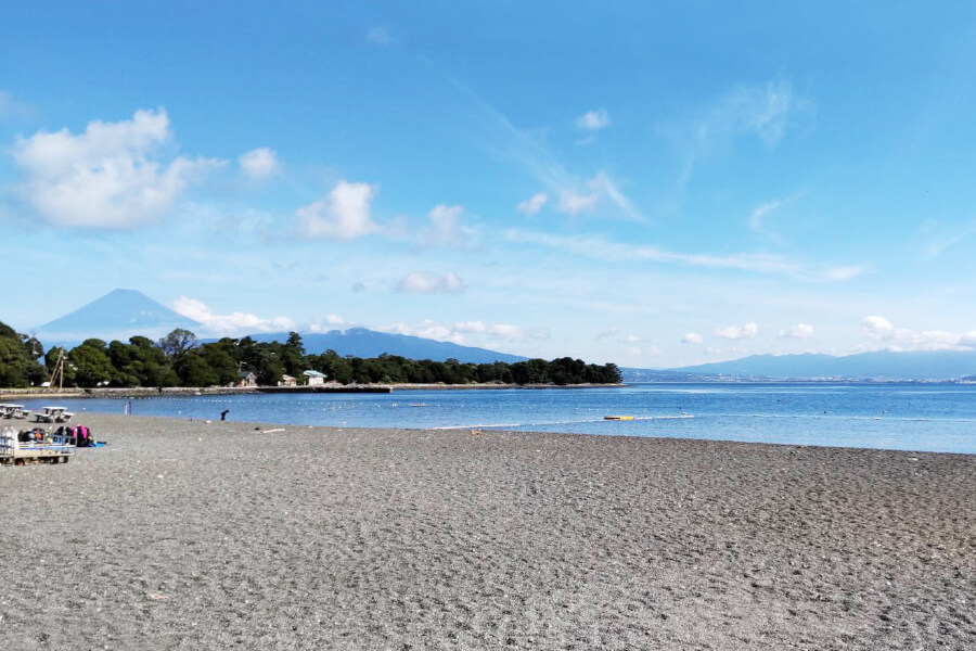 西伊豆大瀬崎のビーチダイビングの風景