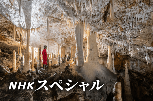 水中探検家伊左治と世界の探検家たちの水中調査の様子を取り上げた、NHKスペシャル