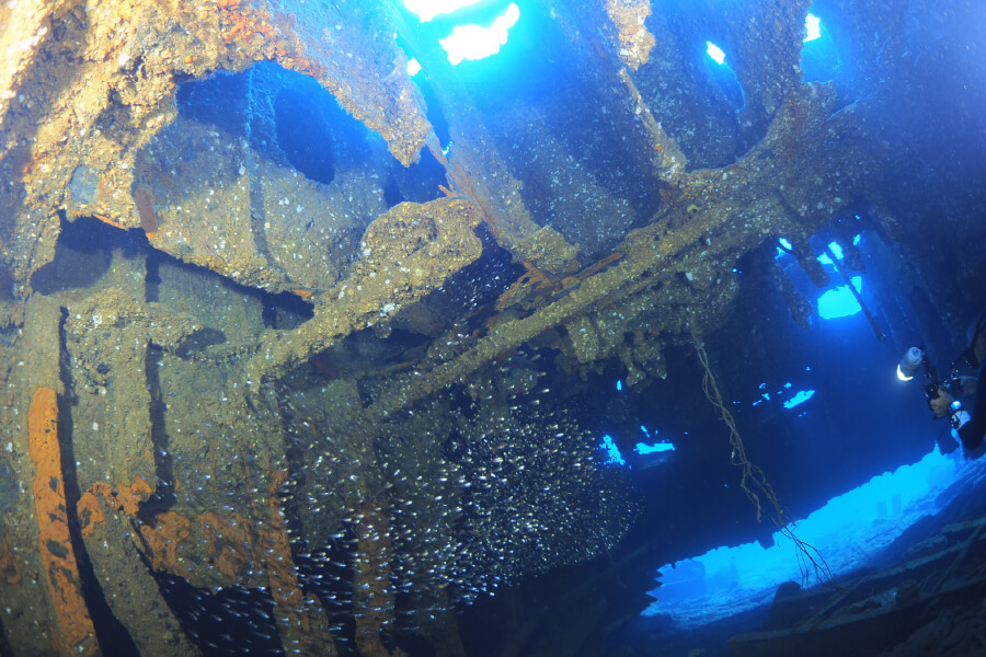 LST 447 沖縄本島ダイビングポイント | DIVE Explorers（ダイブ