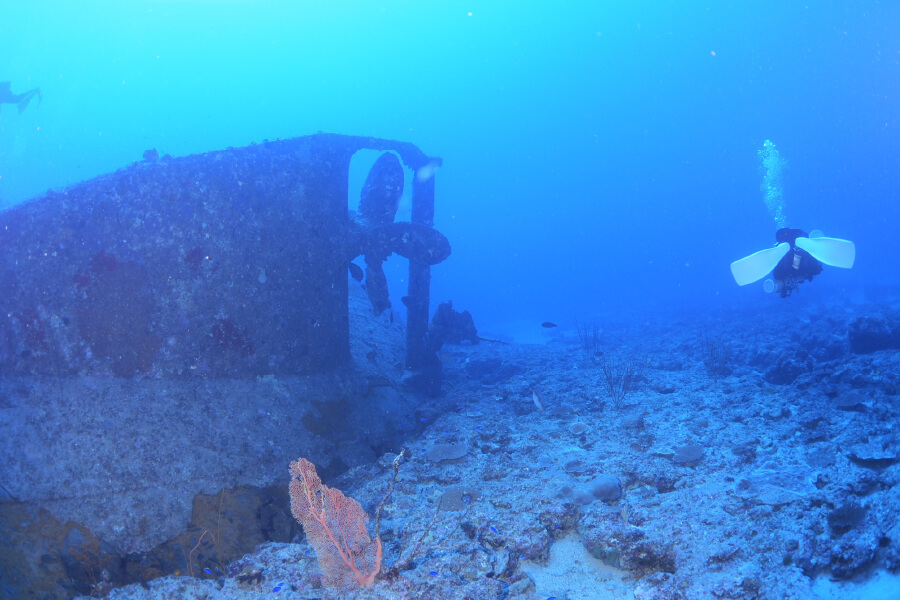極覇礁 LST 447 沖縄本島ダイビングポイント | DIVE Explorers（ダイブ