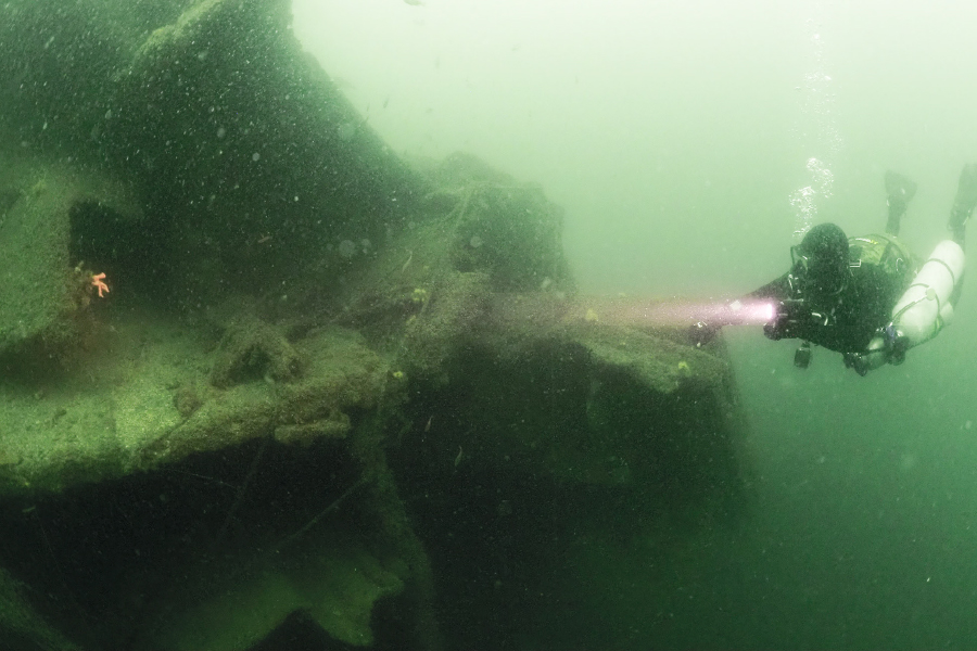 戦艦陸奥 山口県ダイビングポイント | DIVE Explorers（ダイブ