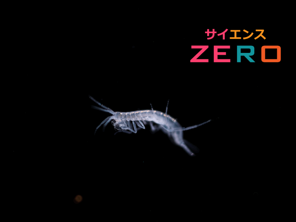 サイエンスZERO伊左治佳孝