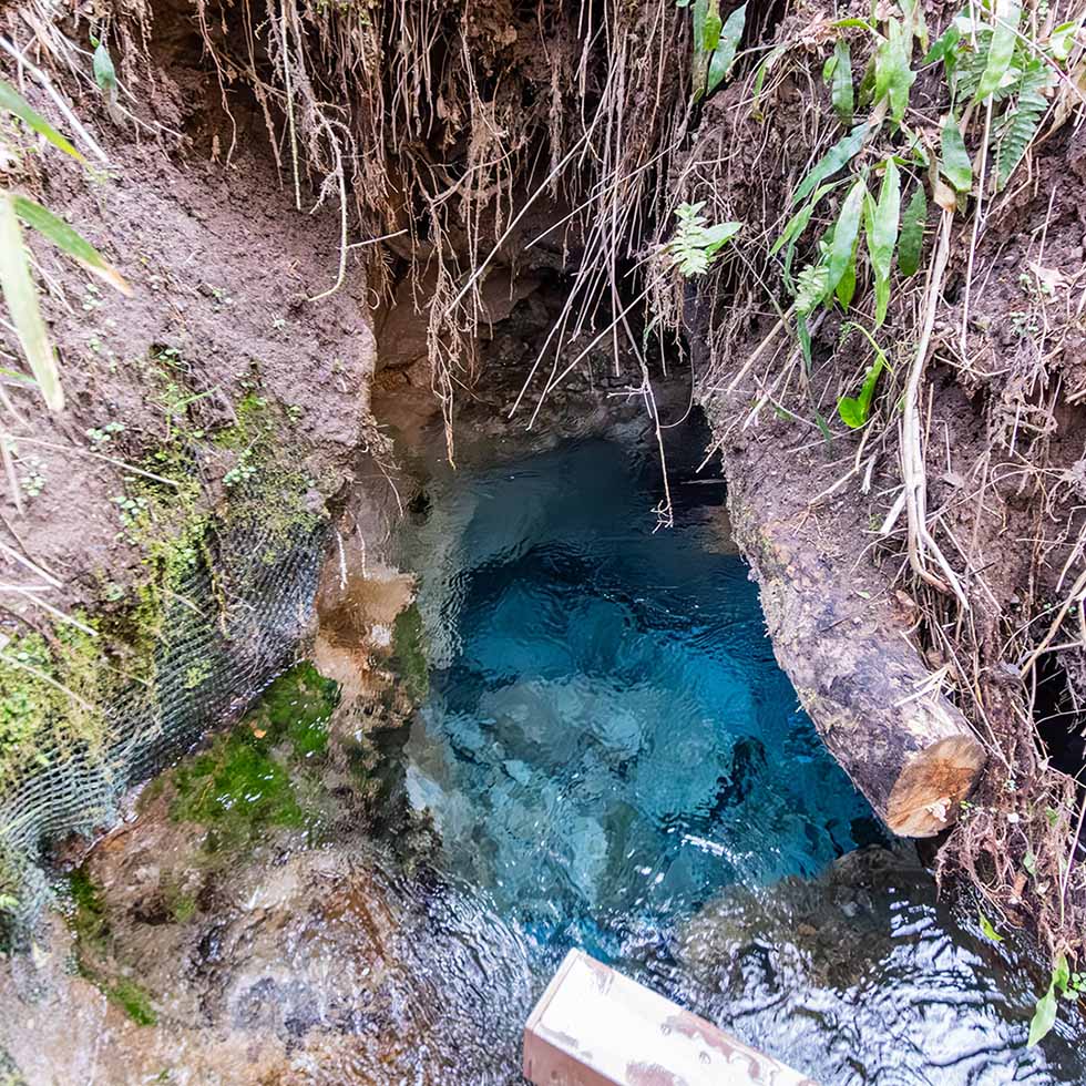 大出水の湧水